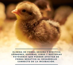 Ovaclean