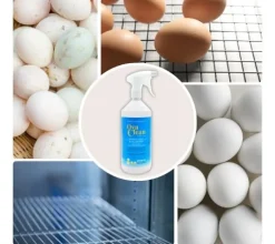 OvaClean Spray
