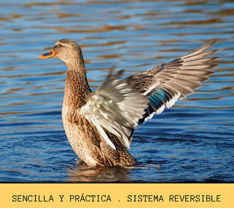 Pinza evitavuelos