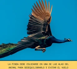 Pinza evitavuelos