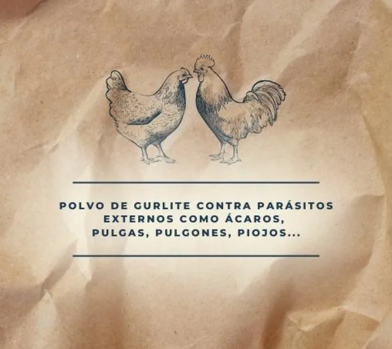 PiojStop