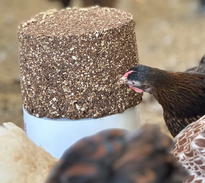 Poultry Block