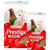 Prestige Dove - Turtledove