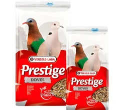 Prestige Dove - Turtledove