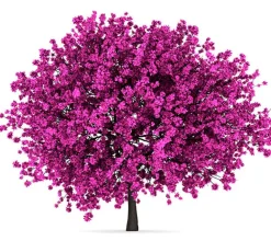 Árbol del amor