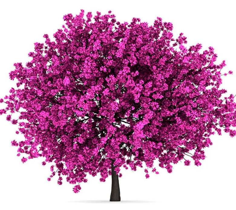 Árbol del amor