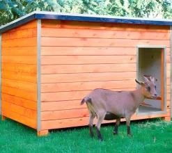 Refugio para animales