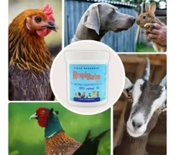 RespiBalm