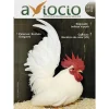 Revista AVIOCIO nº15