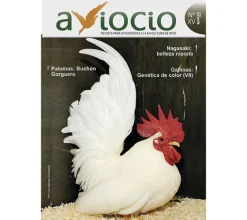 Revista AVIOCIO nº15