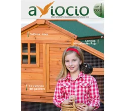 Revista AVIOCIO Nº31