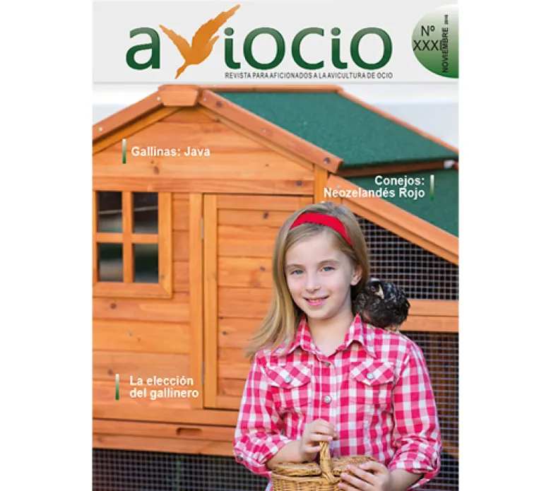 Revista AVIOCIO Nº31