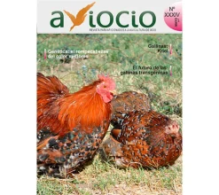 Revista AVIOCIO Nº34
