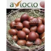 Revista AVIOCIO nº16