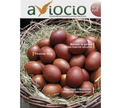 Revista AVIOCIO nº16