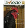 Revista AVIOCIO nº17