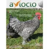 Revista AVIOCIO nº20