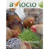 Revista AVIOCIO nº21