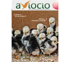 Revista AVIOCIO nº23