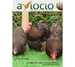 Revista AVIOCIO nº24