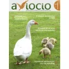 Revista AVIOCIO nº 1