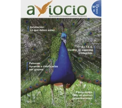 Revista AVIOCIO nº 2
