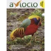Revista AVIOCIO nº 7