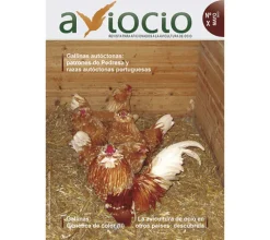 Revista AVIOCIO nº10