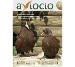 Revista AVIOCIO nº11