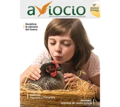 Revista AVIOCIO Nº36