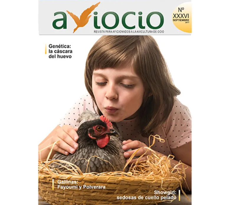 Revista AVIOCIO Nº36