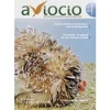 Revista AVIOCIO nº13