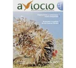 Revista AVIOCIO nº13
