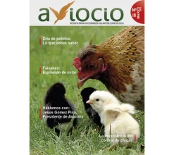 Revista AVIOCIO nº 3