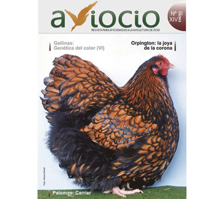 Revista AVIOCIO nº14