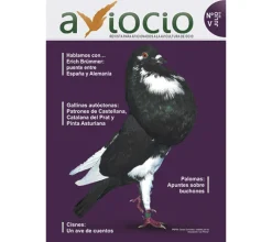 Revista AVIOCIO nº 5