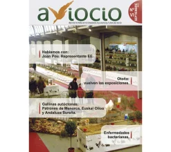 Revista AVIOCIO nº 6