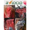 Revista AVIOCIO nº19