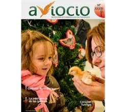 Revista AVIOCIO Nº33