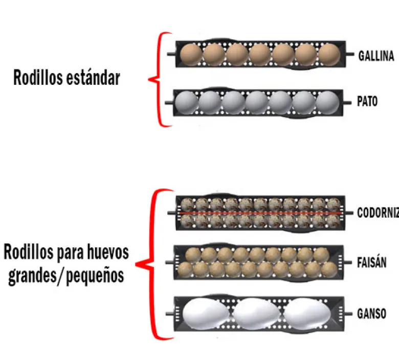 Rodillos adicionales para huevos