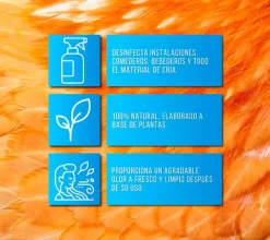 SoluClean