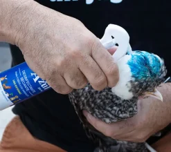 SprayAzul
