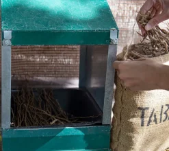 TabaPioj