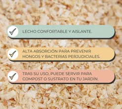 Viruta